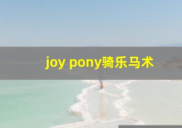 joy pony骑乐马术